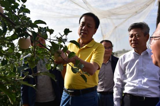 ΢��ͼƬ_20170925095400