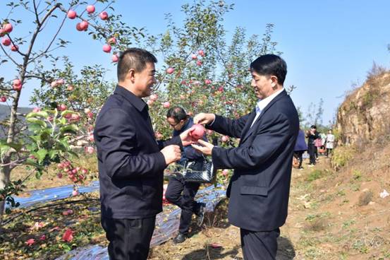 e6f5-86e6-4449-9361-7e03d30d243f86