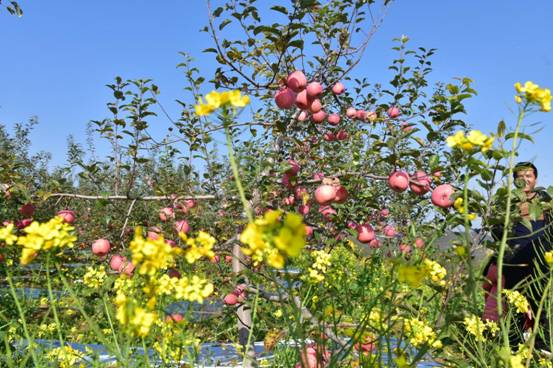 1059-e7d3-44a1-889d-71a1cab2e1c043